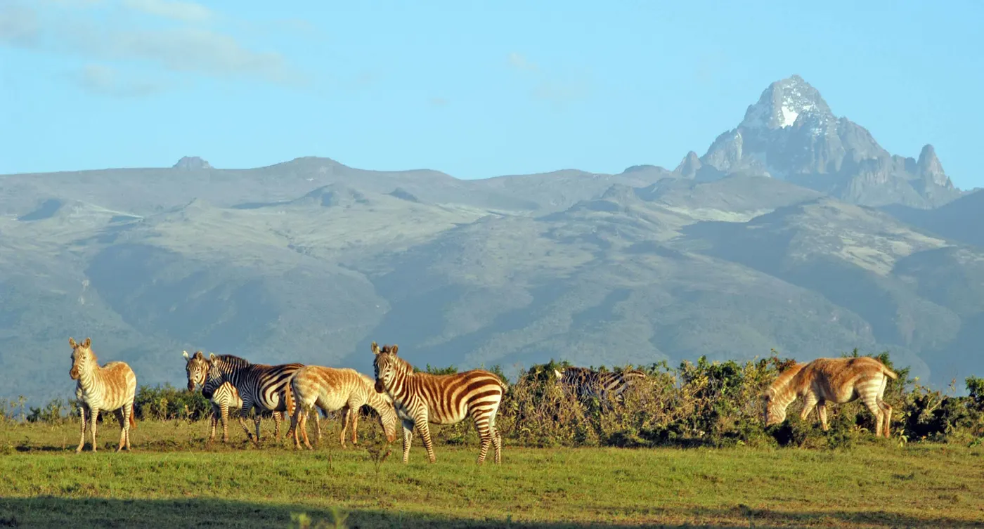 South Island National Park