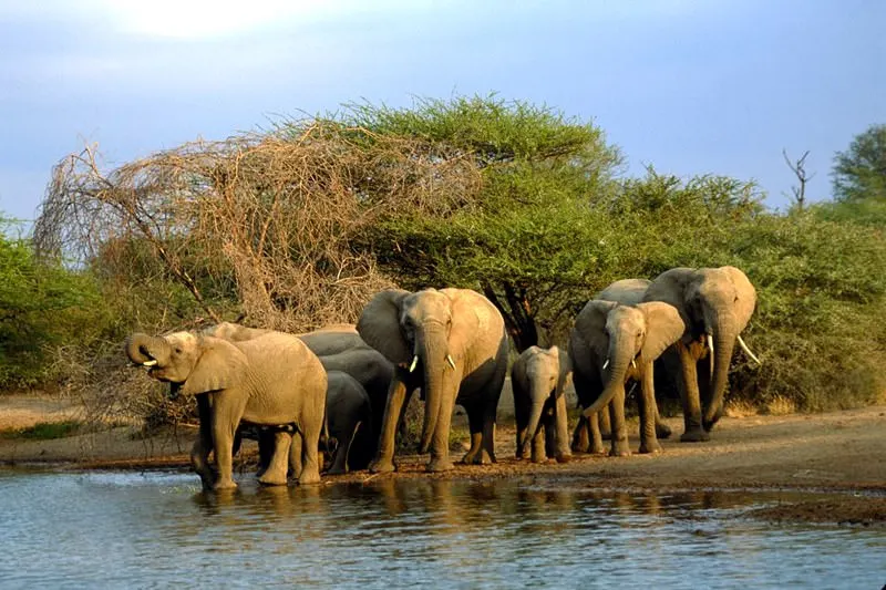 Limpopo National Park