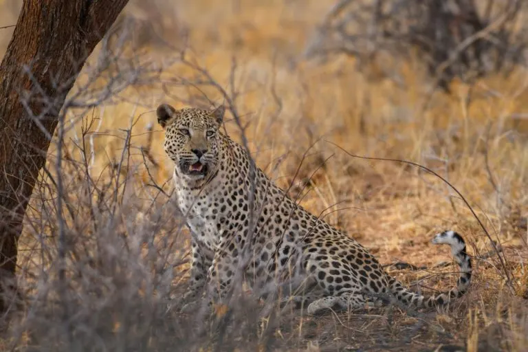 Loka-Abaya National Park