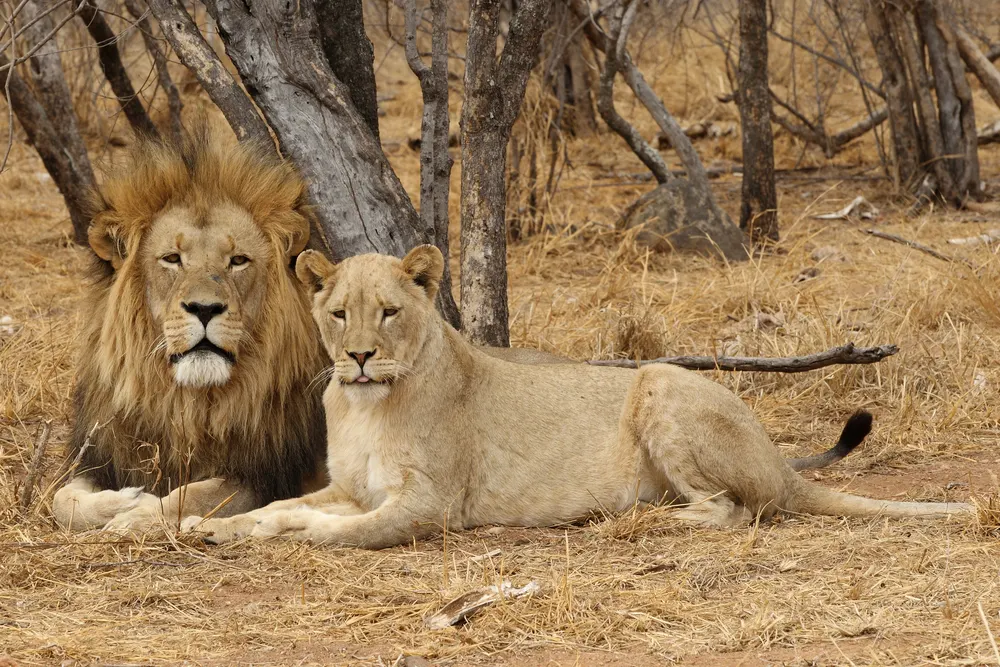 Kruger National Park