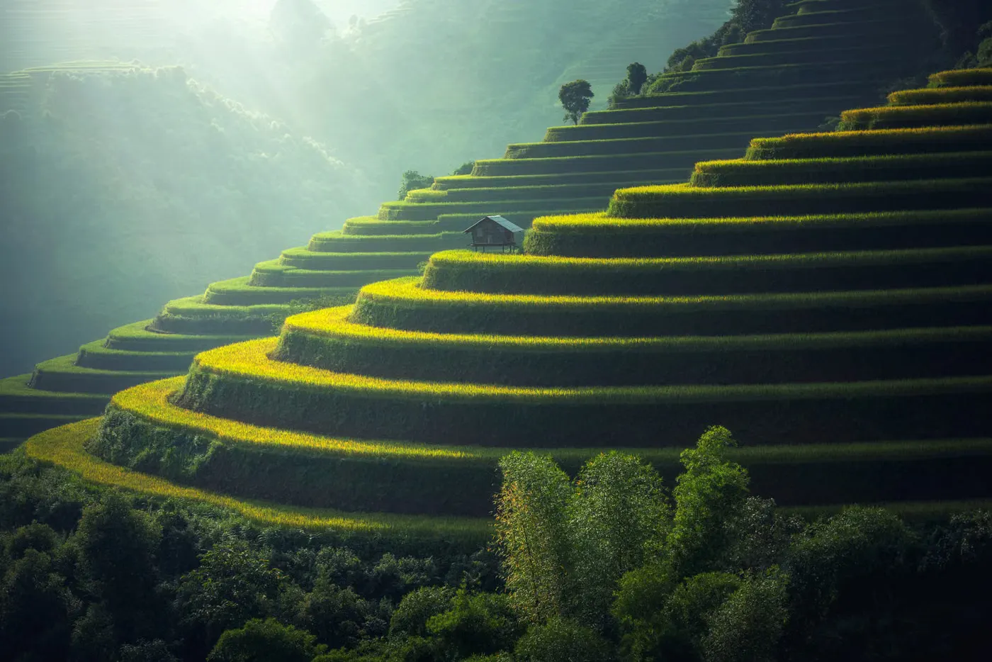 2 Day Classic Beach Holiday Safari