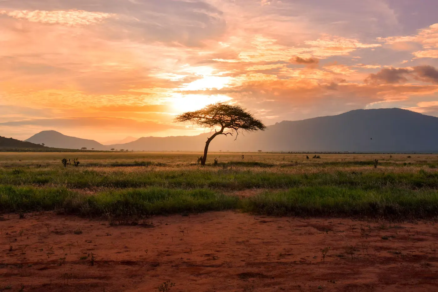 4 Day South Africa Wildlife Safari Experience