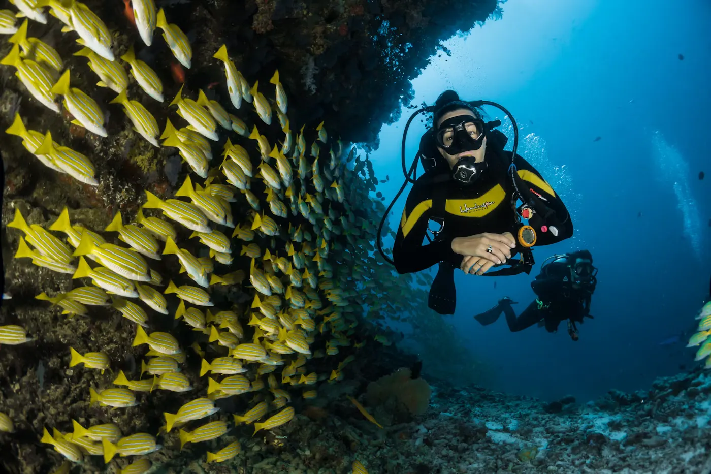 7 Day Wildlife Safari in Masai Mara