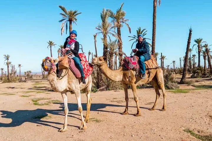 9 Day Wildlife Tour Experience in Morocco