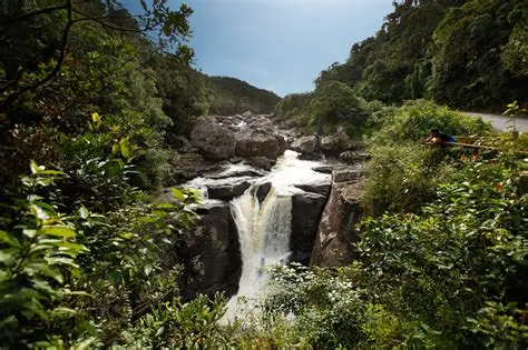 8 Day Wildlife Safari Experience in Madagascar