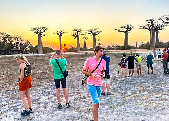 7 Day Classic Wildlife Safari Package in Isalo in Avenue of the Baobabs