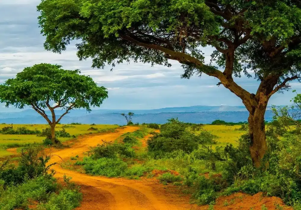 7 Day Madagascar Wildlife Safari Tours