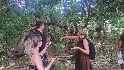 7 Day Wildlife Safari Tour Safari in Madagascar