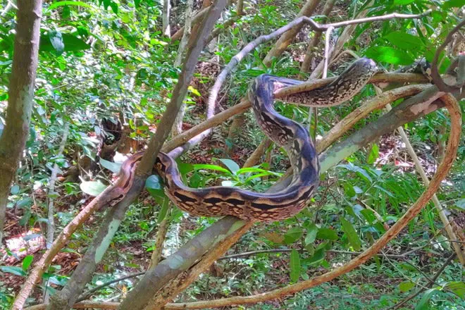 7 Day Best Wildlife Safari in Nosy Be
