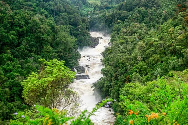 7 Day Best Wildlife Safari Tour in Ranomafana