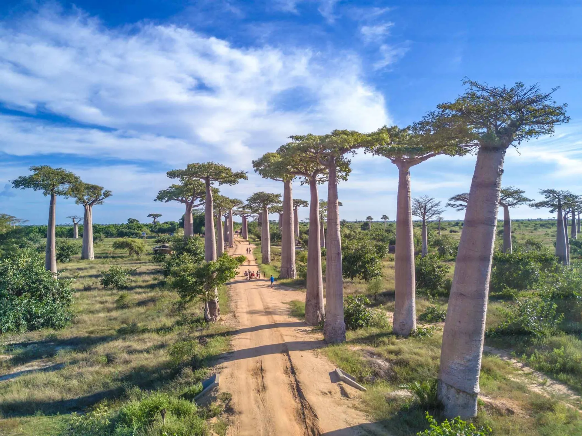 6 Day Best Madagascar Wildlife Safari
