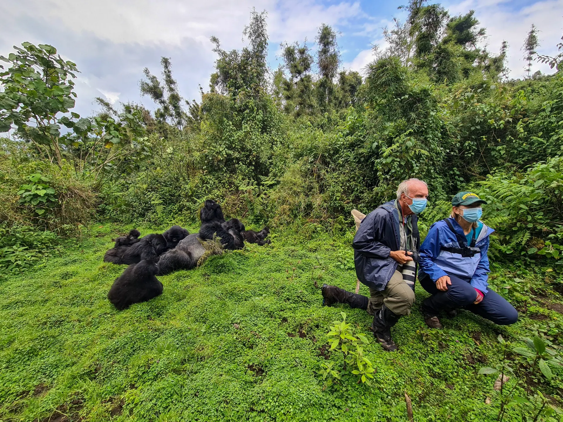1 Day Signature Gorilla Trekking in Mgahinga Gorilla
